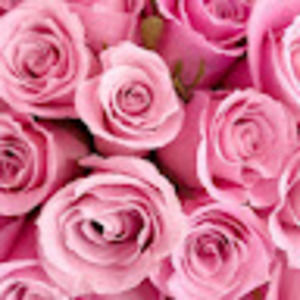 Meet your Posher, Delia